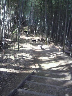 ��͒ʂ�Ȃ��c